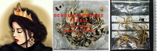 марки nbome Корсаков