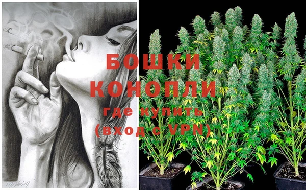 твердый Коряжма